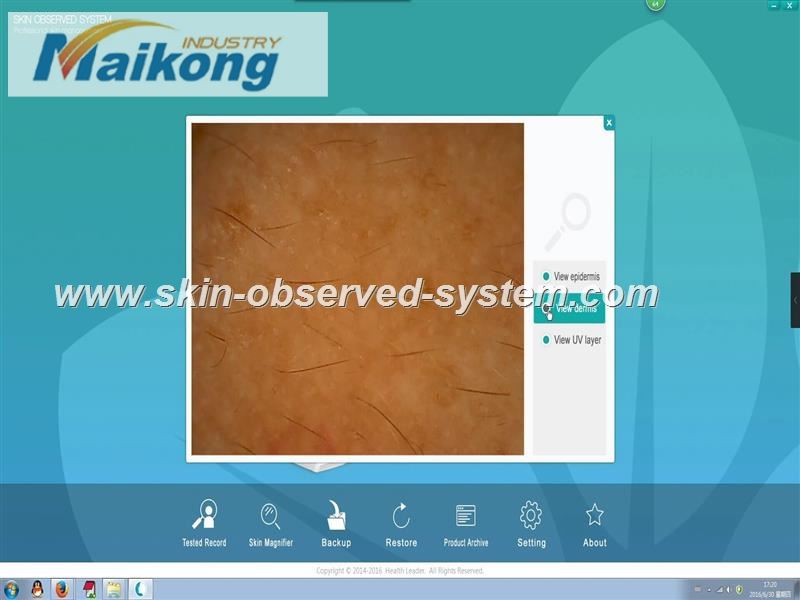 how to use the Skin Observed System (29)