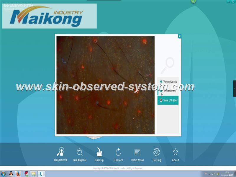 how to use the Skin Observed System (30)