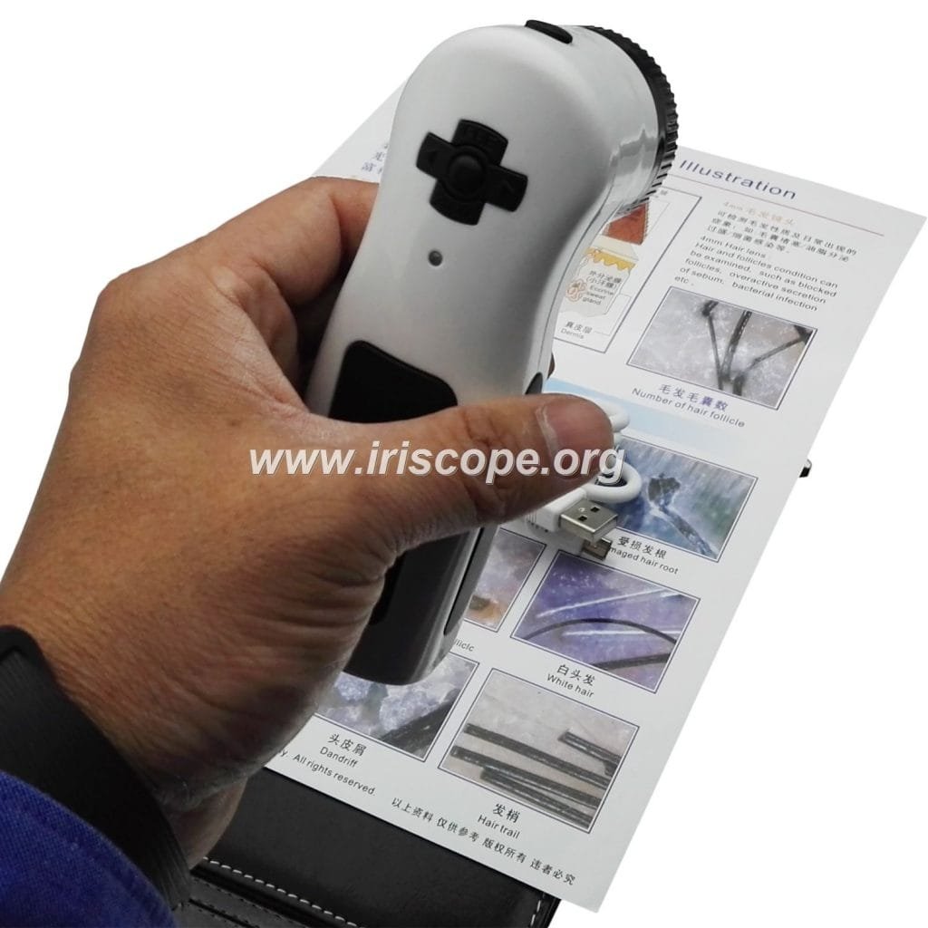 skin and hair analyzer price