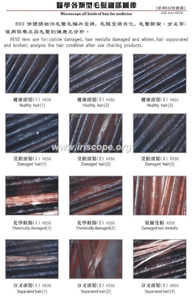 skin and hair analyzer price
