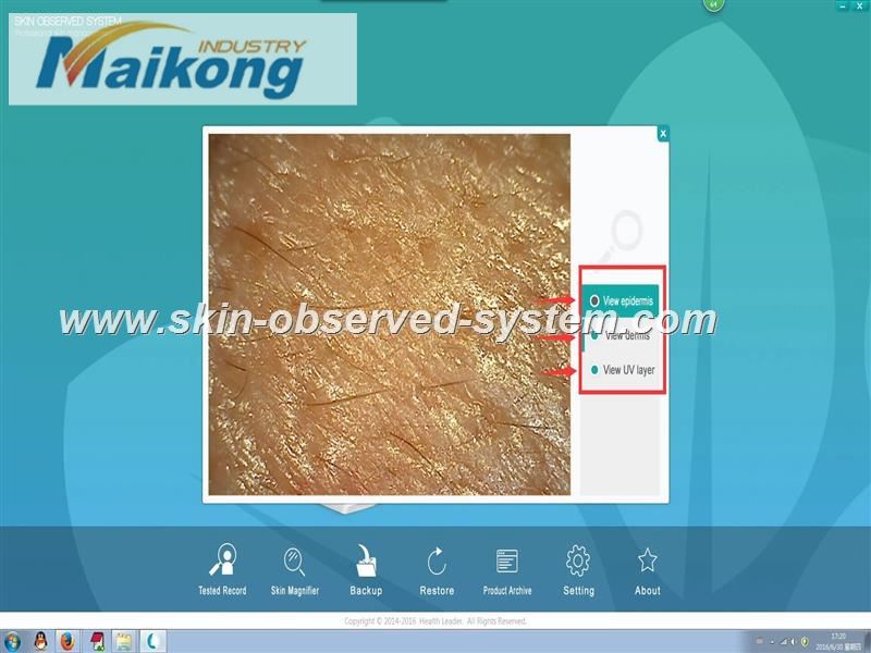 how to use the Skin Observed System (28)