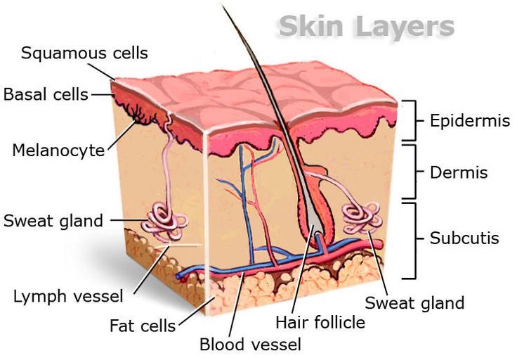 clairderm skin analyser